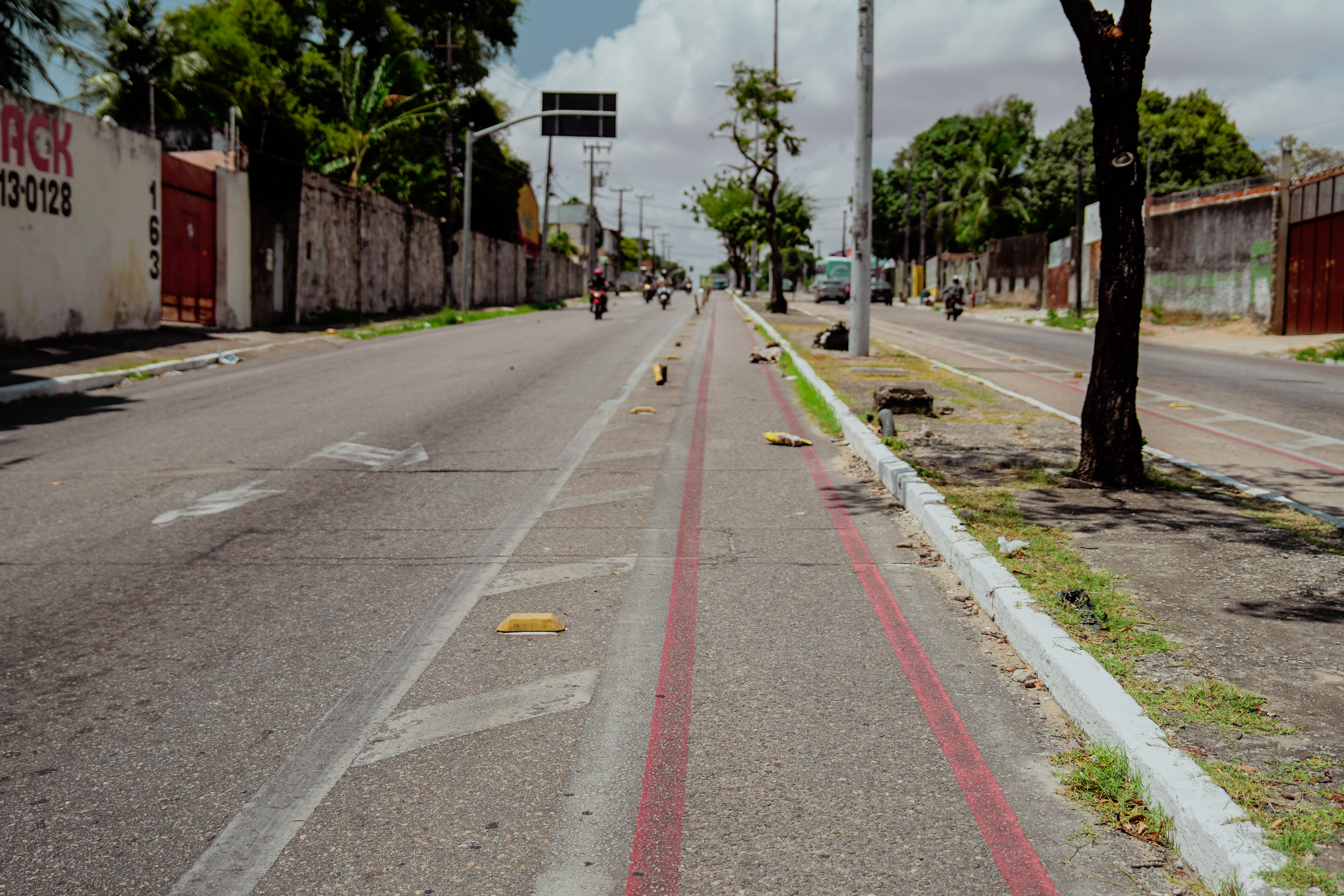 a imagem mostra o canteiro central da Av. Coronel Carvalho